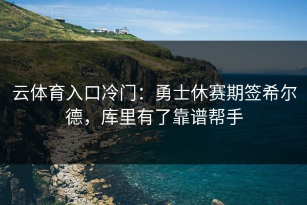 云体育入口冷门：勇士休赛期签希尔德，库里有了靠谱帮手