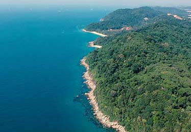 揭秘：某队在欧冠决赛前更换厨师的真相，开云体育揭秘食物对集体竞技的影响。